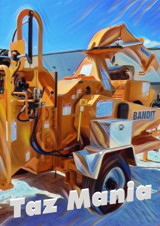 Taz Mania stump grinder maclean nsw
